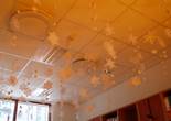 P1011474 (1024x768).jpg (62009 bytes)